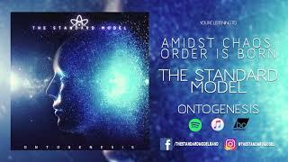 The Standard Model - Amidst Chaos, Order is Born