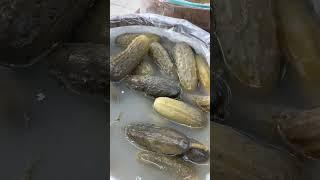 Карнишоны опухшие