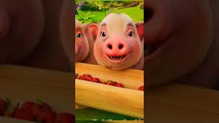 ĐÀN HEO CON CỦA BÀ