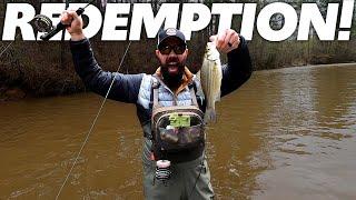 We Found the WHITE BASS! (Fly Fishing for White Bass)