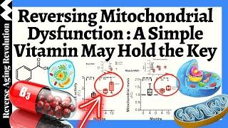 A Simple VITAMIN May Be the Game-Changer For Mitochondrial Health?