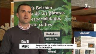  Semana de #Patata  2024 Certis Belchim. Reportaje Surcos TVCyL.