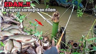 GARA-GARA HUJAN..!! PEMANCING PANEN  IKAN NILEM || MANCING DI SELOKAN