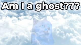 lil doge's ghost adventure