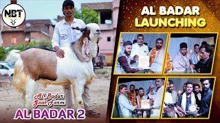 Al Badar 2 The Biggest Goat Launching In Bhopal At Al Badar Goat Farm