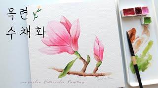 [ENG] 초보자를 위한 목련 수채화 | 스케치부터 채색까지️ | Watercolor Painting Tutorial