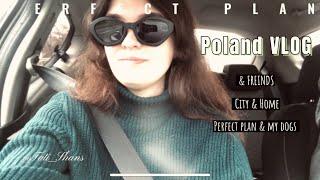 Poland Vlog - ежедневные влоги