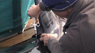 OCEARCH Top 10 Memorable Moment: #10 - Drawing Blood From Amy