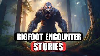 Bigfoot Encounter Stories: Class A Encounters From The US