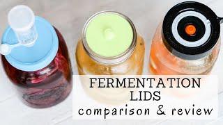 Fermentation Lids Reviews | Bumblebee Apothecary