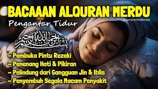 Al Quran Merdu Pengantar Tidur Surah Al Mulk, Ar Rahman, Al Waqiah, Penenang Hati & Pikiran