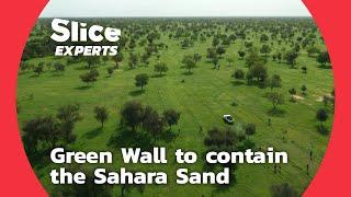 Ingenious, the Great Green Wall to contain the Sahara Sand | SLICE EXPERTS