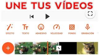 ¿CÓMO UNIR VÍDEOS EN UNO SOLO? | Gratis | Android | App para unir videos | aplicaciones | juntar