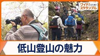 「低山」登山ブーム到来　中高年層中心に大人気　山頂から思わぬ眺望の穴場発見【ワイド！スクランブル】(2024年11月21日)