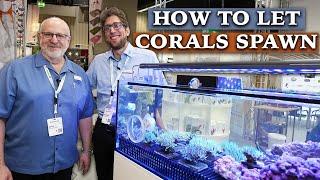 How to let CORALS SPAWN! - Lou & Sam at Interzoo 2024