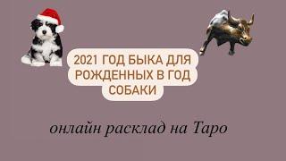 2021 год Бык для рожденных в год Собаки! Таро прогноз. Судьбоносные перемены