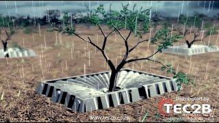 TEC2B Distributing - TAL YA tree Trays