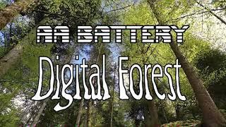 AA Battery - Digital Forest