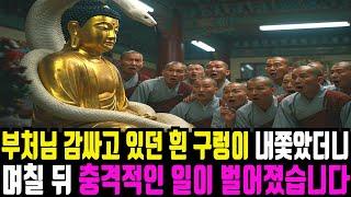 부처님 불상 휘감고 있던 흰 구렁이를 내쫓았더니 충격적인 일이 벌어졌습니다.