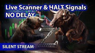 ​Live Scanner  Stock Market scanner - Silent Stream (no-delay, voice only)  11/04/2024