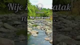 Nije život kratak nego se... #život #kratak #živeti #citati #mudrosti #izreke #psihosom #shorts