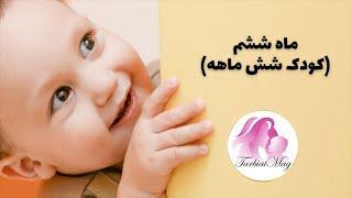 ماه ششم (کودک شش ماهه)/توانایی ها و ویژگی های کودک شش ماهه/رشد کودک