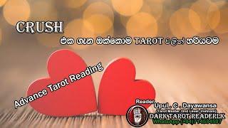 Crush එක ගැන ටැරොට්වලින් සියල්ලම හරියට|Sinhala|#tarotcardreadingsinhala #tarotcards #tarotreading