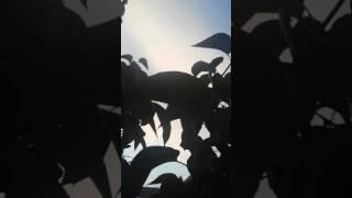 Життя це казкащастя це - ви