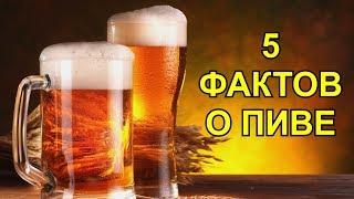 5 Здоровых Фактов о Пиве, Которые Вас Удивят.