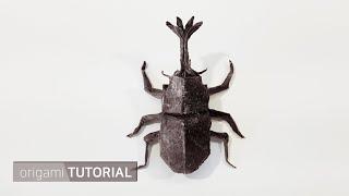 장수풍뎅이 종이접기 기본편 basic origami rhinoceros beetle designed by origami折り紙