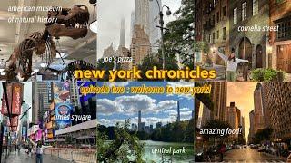 new york chronicles | welcome to new york! times square, central park + a museum day!