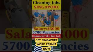 Singapore 2 year work permit 2024 | Singapore work visa 2 years