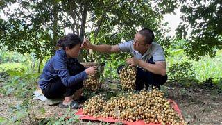 Single mother gives a gift - to a man who is kind and endures difficulties in life, Lý Tử Tiêu