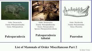 List of Mammals of Order Miscellaneous Part 2 del monte lui africanus ungulate robustus Prolagus