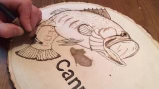 Pyrography. Burning a bass on basswood .