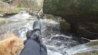 For my dear friend: Hiking the stream by the cabin with Gizmo today.