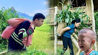 Single mother - Huong alone fought the storm, harvesting corn to make ends meet