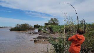 PESCAMOS Y COCINAMOS, Pesca y aventura, muchos peces. amantes por la pesca. videos de pesca 2024