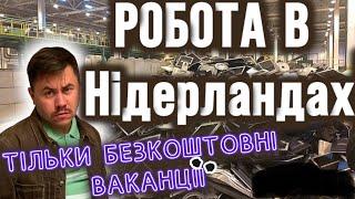 Блог з Нідерландів.   Моя робота в Нідерландах/ безкоштовні вакансії 2023