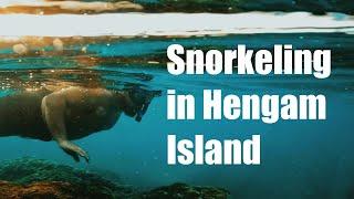 Snorkeling in Hengam Island