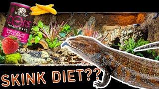 Blue Tongue Skink Diet | What to feed a blue tongue skink, and how to make your own skink diet!