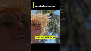 Moomba Beach Aruba - " Dive into Paradise at Moomba Beach Aruba ️ #MoombaBeach #ArubaAdventure