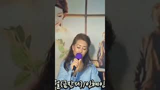 #청풍명월#금잔디#인혜인 #버스기사가수 #사랑 #남한강#굽이굽이#그림같은#청풍호#트로트 #언제까지나 #감성장인 #천상의목소리 #라이브방송 #현역가왕 #music
