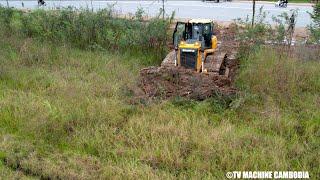 Perfectly Dozer Clearing Forest Step by Step | Clearing The Land Project Using SHANTUI Dozer DH17C2