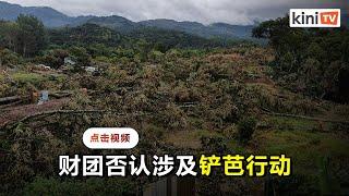 彭亨皇家榴莲集团：铲芭行动与联营公司无关