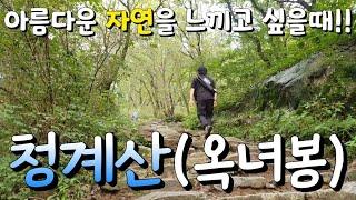 [백수세끼][15탄]등산 청계산 / 376m 옥녀봉 정복 / 죽음의 계단 / 먹방 / 바나나