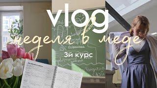 VLOG Неделя в медицинском |  учеба, задания, лыжи | 3й курс весенний семестр