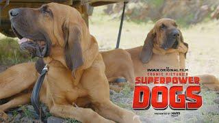 Meet Tipper & Tony | Superpower Dogs | An IMAX® Original Film