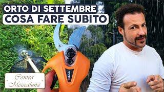 Orto di Settembre: Raccolto, Semina e Tutto Quello che Devi Fare!