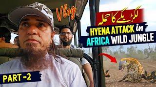 Africa's DEADLIEST Jungle Creatures Caught on Camera by Mufti Tariq Masood